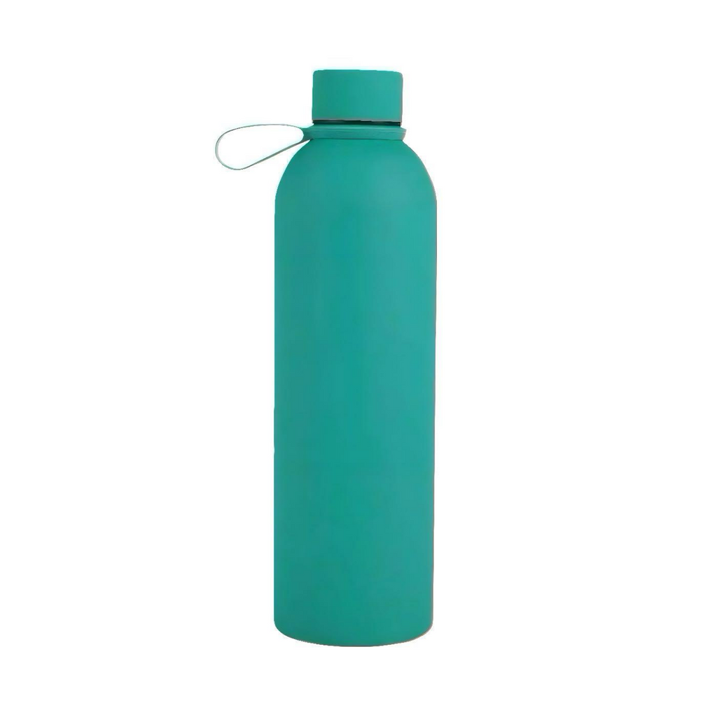 Small Mouth Thermal Water Bottle with Handle